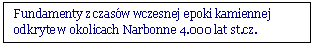 Pole tekstowe: Fundamenty z czas�w wczesnej epoki kamiennej odkryte w okolicach Narbonne 4.000 lat st.cz.